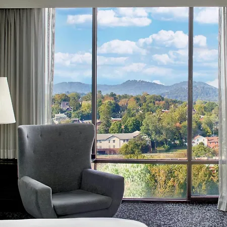 Renaissance Asheville Downtown Hotel-3