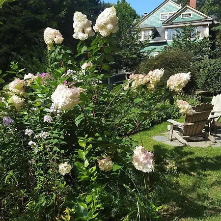 Cumberland Falls Bed & Breakfast Inn-2